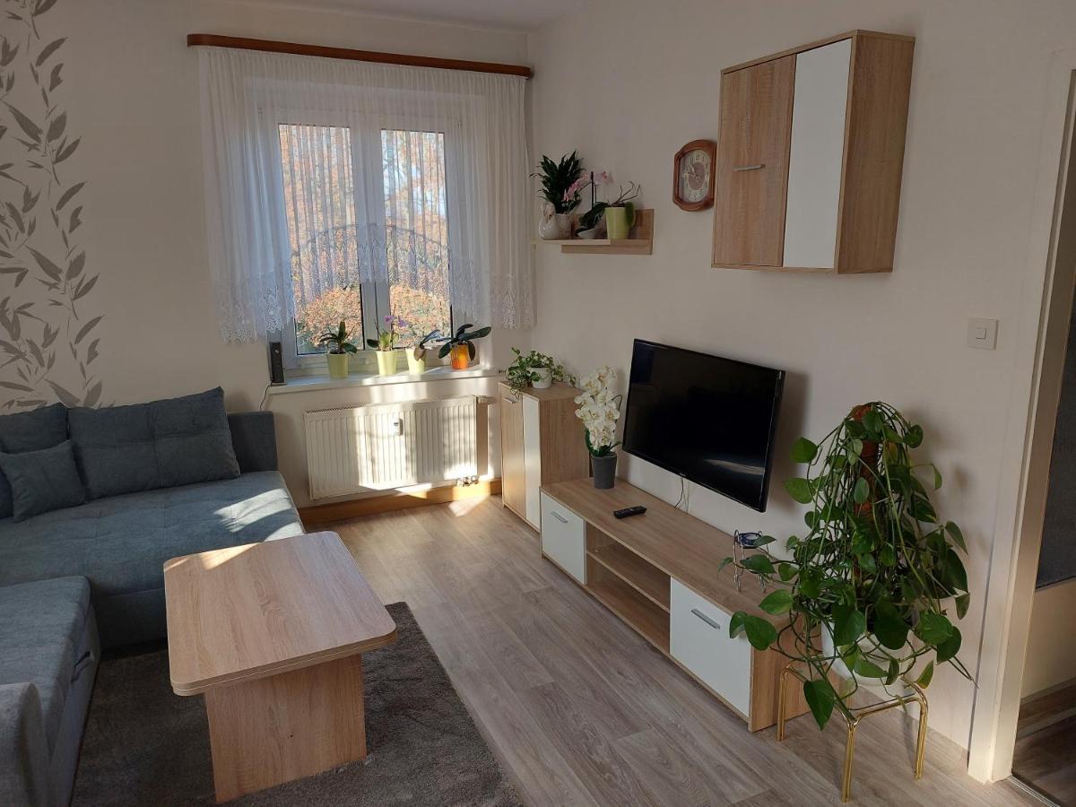 Ferienwohnung Lehmann 피르나 외부 사진